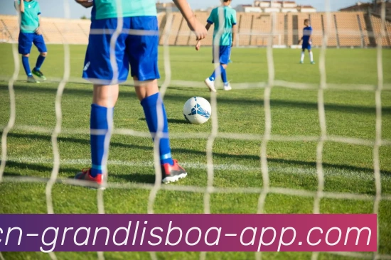 新葡京娱乐平台生态图