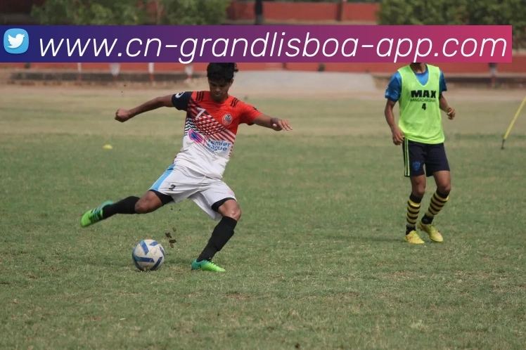 新葡京娱乐APP 封面图